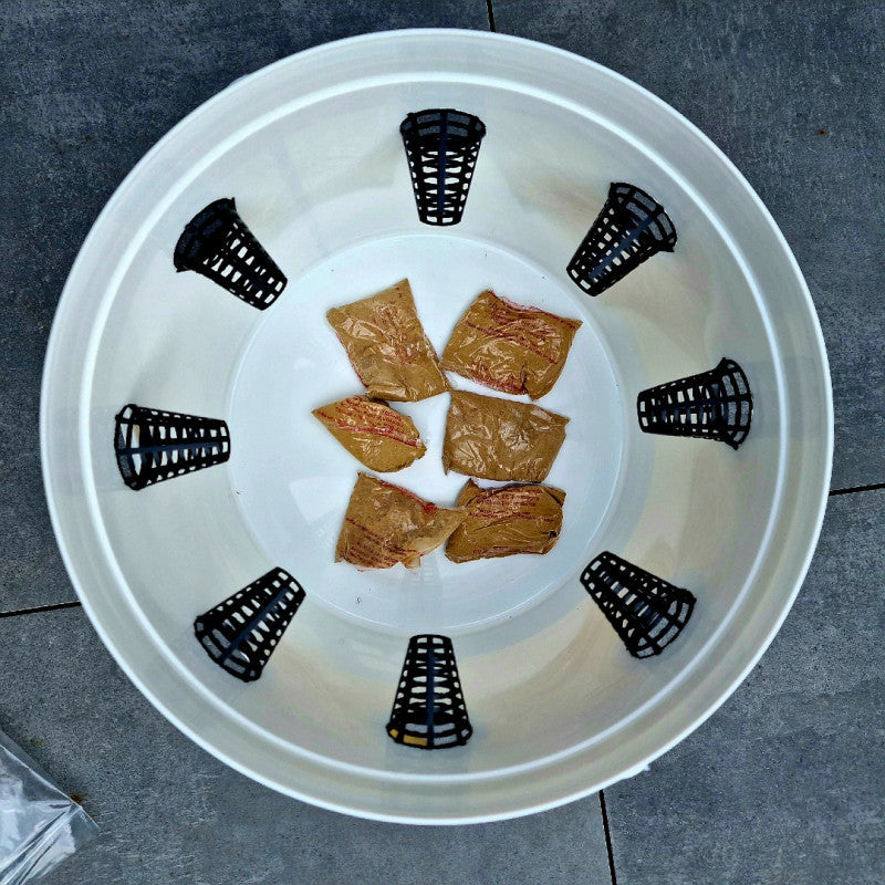 MUSCADO 11L, seau piège à mouche extérieur + 6 appâts